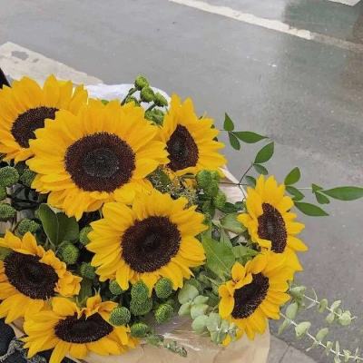 乐鱼彩票官网app下载