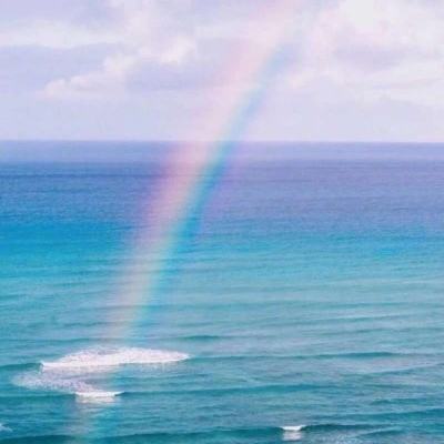 乐鱼(中国)官方网站app下载截图