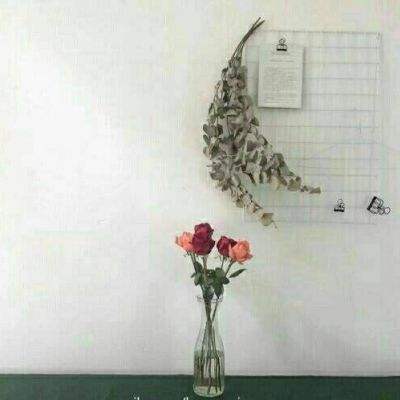 亚新下载手机版